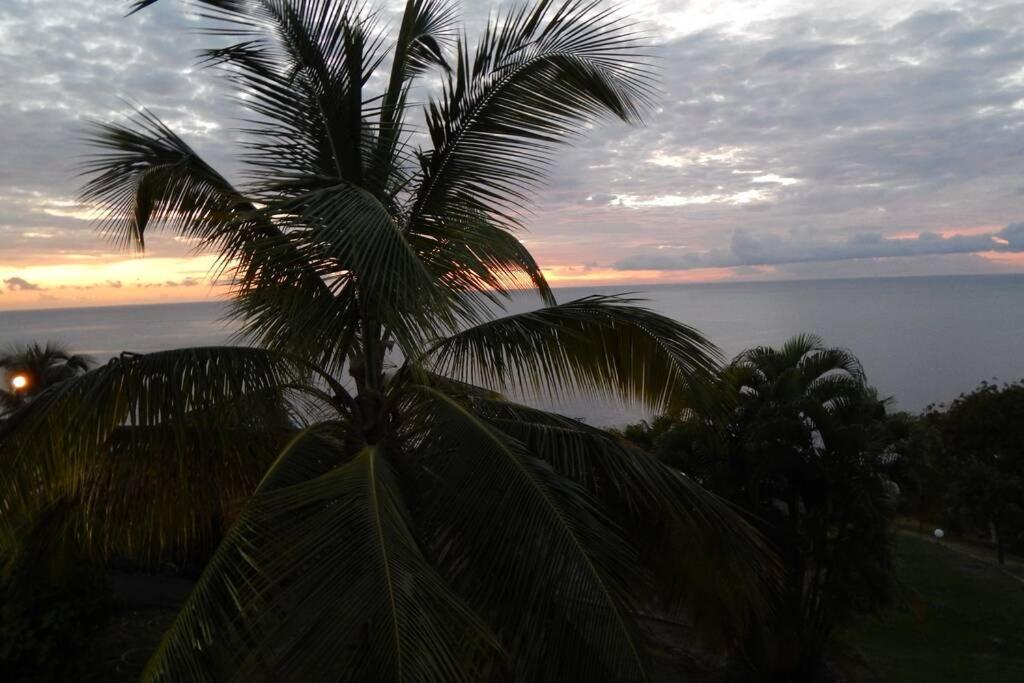 Le Morne Charlotte Villa Le Carbet Luaran gambar